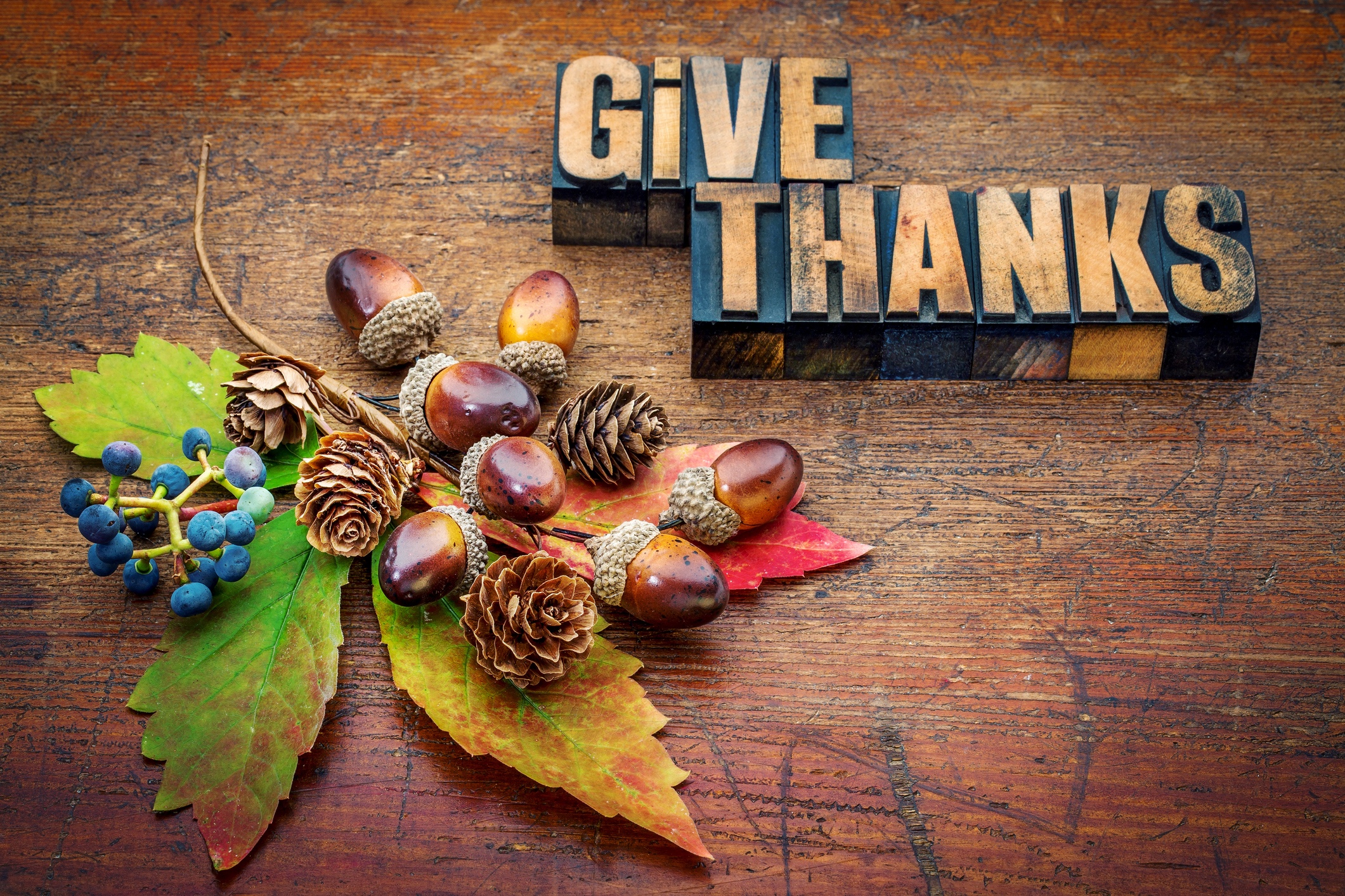our-thanksgiving-blessing-barnhart-blog